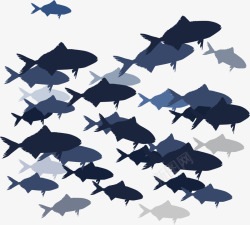 深蓝色海洋中的鱼群矢量图素材
