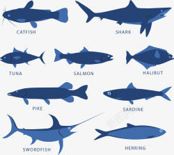 深蓝色海洋鱼类素材