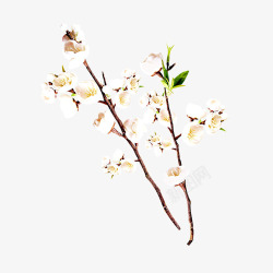 黄色现代海报装饰素材