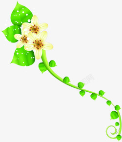 绿色藤蔓三朵花夏天素材