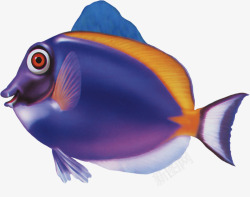 紫色鳊鱼素材