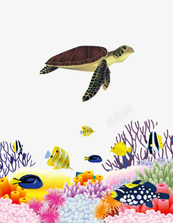 海洋乌龟海底鱼类卡通素材