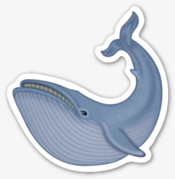 鲸鱼贴纸鲸鱼贴纸高清图片