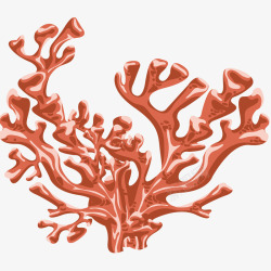 红色珊瑚插画素材