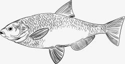 童趣小鱼世界海洋日素描小鱼高清图片