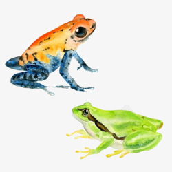 青蛙不同颜色手绘合集素材