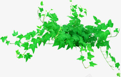 绿色新鲜花藤植物素材