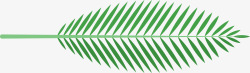 热带植物棕榈叶矢量图素材