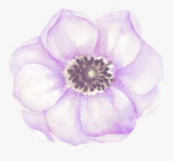 水彩手绘彩色花卉紫色花朵素材