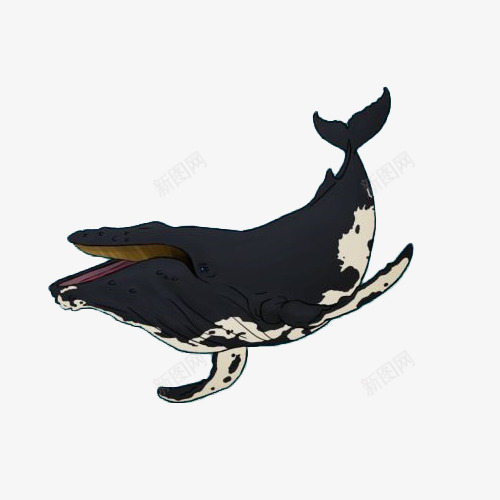 卡通一只唱歌的座头鲸插画png免抠素材_88icon https://88icon.com 卡通 唱歌 座头鲸 张嘴 插画 海洋 生物 素描鲸鱼 音乐 鲸鱼