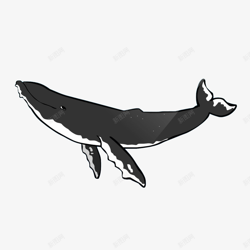 卡通一只灰色微笑的座头鲸插画免png免抠素材_88icon https://88icon.com 卡通 卡通一只灰色微笑的座头鲸插画免抠免费下载 可爱 座头鲸 微笑 插画 海洋 灰色 生物 鲸类 鲸鱼