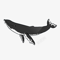 卡通一只灰色微笑的座头鲸插画免素材