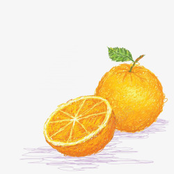 卡通手绘香橙插画素材