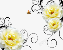 白黄相间玫瑰花素材