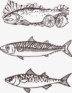 手绘海洋鱼类线稿矢量图素材