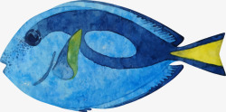 海洋生物手绘蓝色小鱼素材