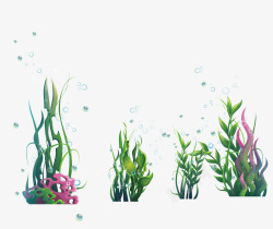 海洋海藻类植物物和水泡素材