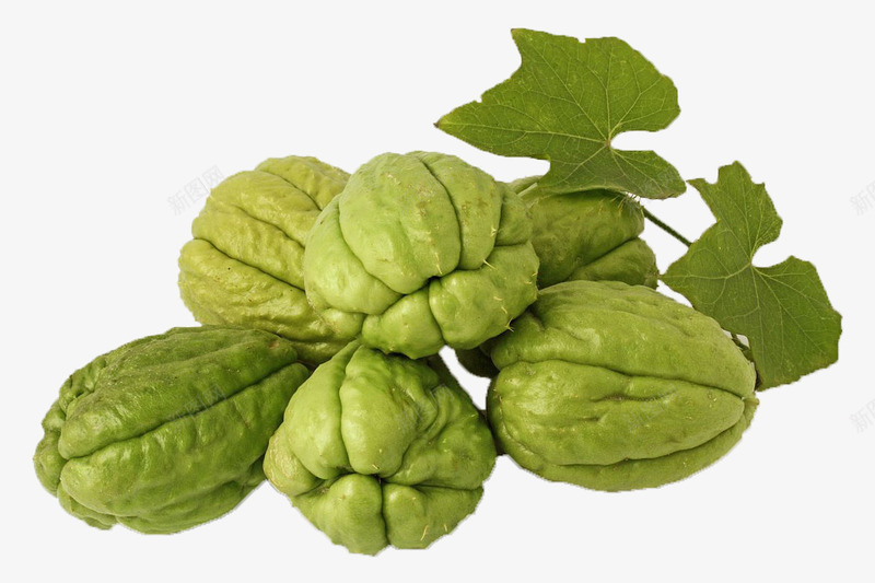 一个藤上摘下来的佛手瓜png免抠素材_88icon https://88icon.com 丰收瓜 佛手瓜 合手瓜 土耳瓜 安南瓜 寿瓜 捧瓜 棚瓜 洋瓜 藤蔓 虎儿瓜 隼人瓜