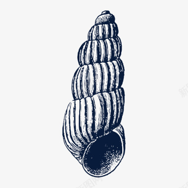 夏天手绘黑色海洋生物海螺贝壳装饰图标图标