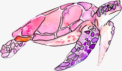 手绘粉色系海龟素材