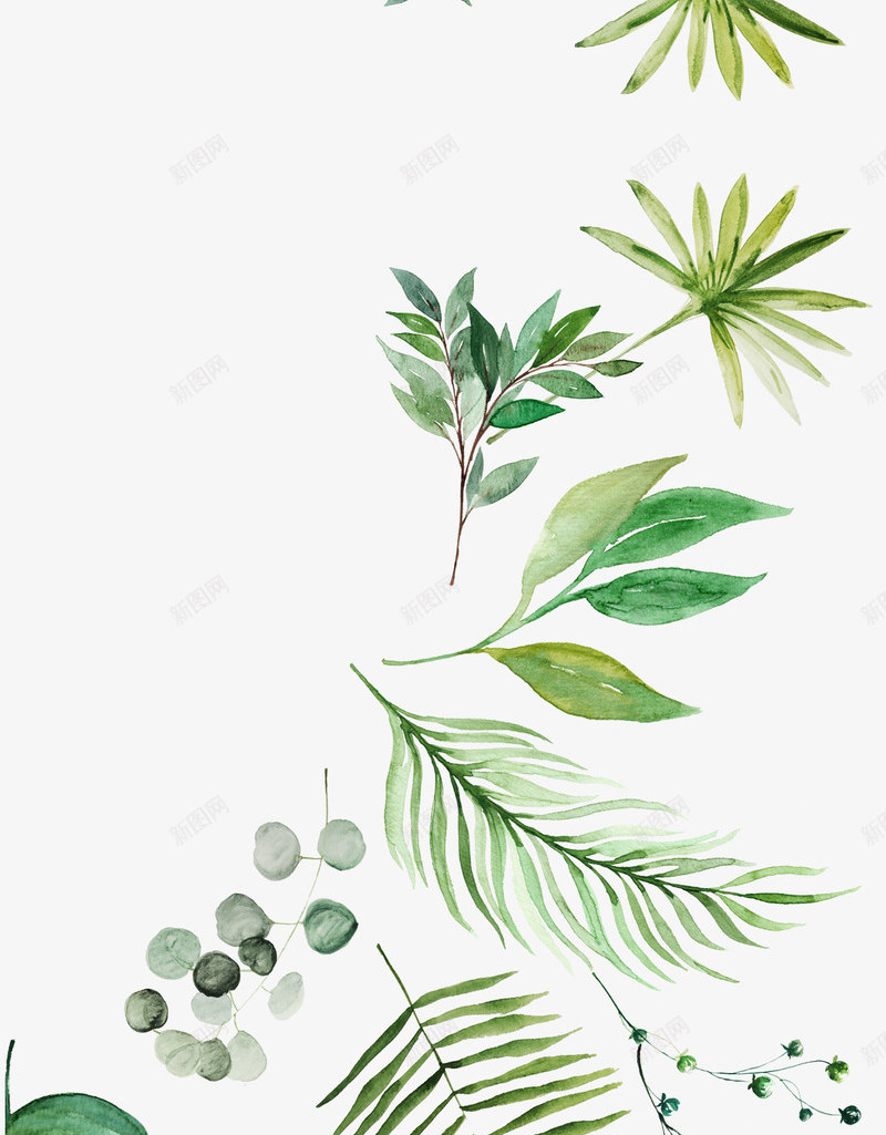 水彩卡通植物种类png免抠素材_88icon https://88icon.com 创意 卡通 手绘 新意 植物 水彩 笔刷 设计