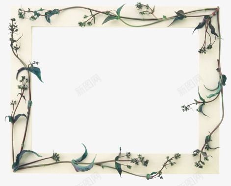 边框图片手绘相框边框剪影植物装饰相框图标图标
