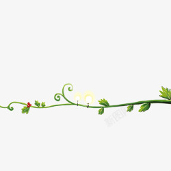 花卉藤条植物高清图片