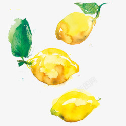 水彩柠檬水果柠檬果色彩画片高清图片