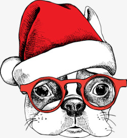 庆祝圣诞节的眼镜狗狗素材