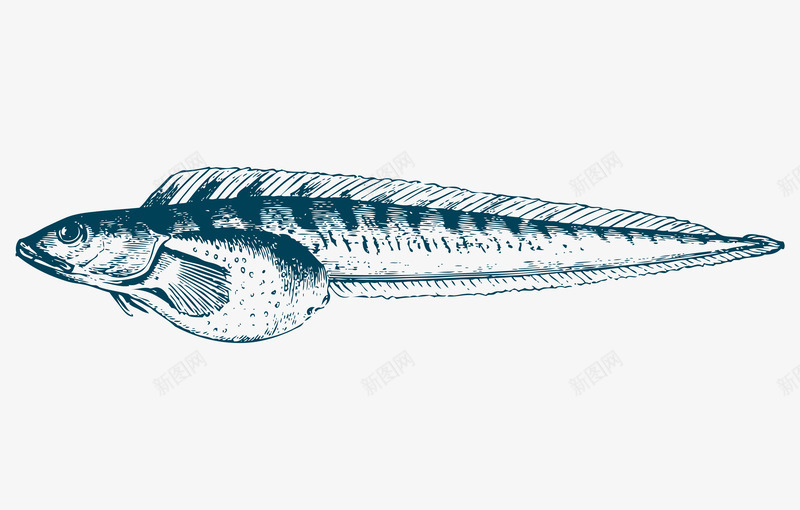 卡通海洋生物鱼文艺风海报png免抠素材_88icon https://88icon.com 动物可爱 卡通动物 卡通小鱼 卡通海洋动物 手绘动物文艺风 萌萌哒的小动物 装饰卡通 鱼的种类