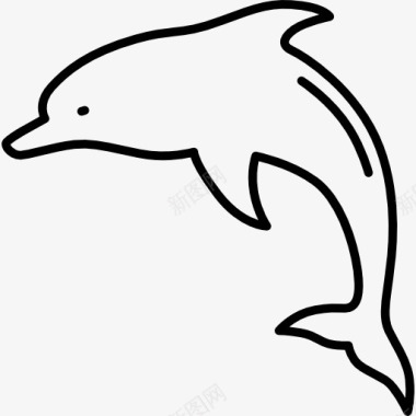 跳跃美女海豚跳跃图标图标