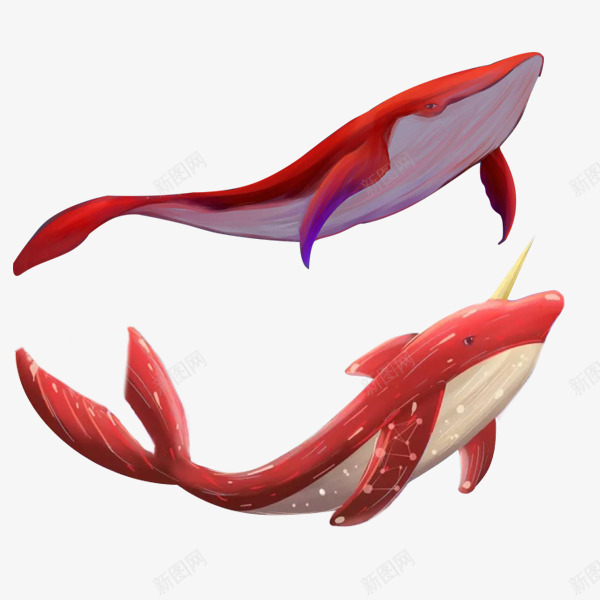 红色海豚手绘psd免抠素材_88icon https://88icon.com 哺乳动物 水生动物 海豚 红色 绘画