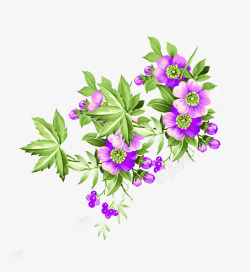 紫色花藤素材