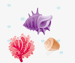 珊瑚贝壳海螺素材