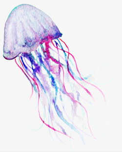 水彩海洋生物水母插画素材