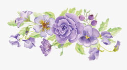 紫色绽放手绘插画花藤紫色花朵高清图片