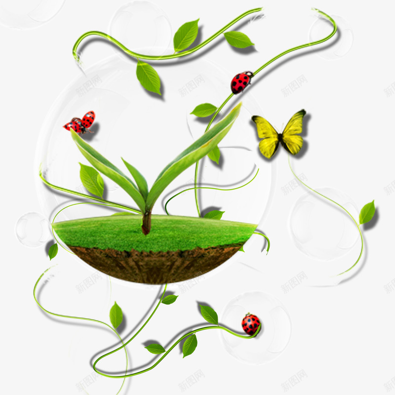 保护绿色png免抠素材_88icon https://88icon.com 发芽 气泡 环保 瓢虫 绿地 绿藤 藤蔓 蝴蝶