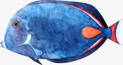 世界海洋日手绘发呆的鱼素材
