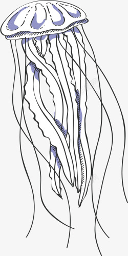 深海水母海洋生物水母矢量图高清图片