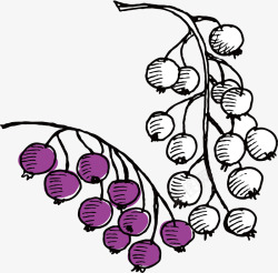 手绘紫色浆果矢量图素材