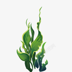 绿色宽叶子海洋植物矢量图素材