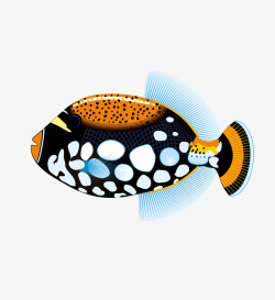 色彩眼里的海洋鱼类素材