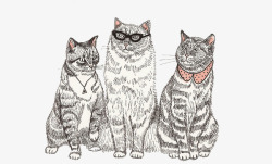 猫咪动物装饰画素材