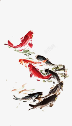 中国画红色鲤鱼中秋素材