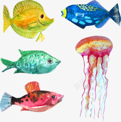 彩绘水母5款水彩绘海洋生物高清图片