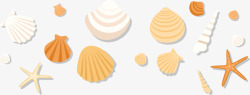 海洋生物贝壳海螺素材