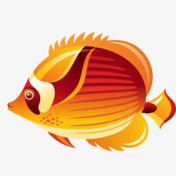 橙色的热带鱼动物矢量图素材