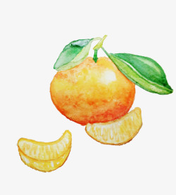 橘囊和橘子的手绘水彩画素材