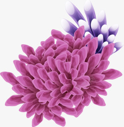 海洋紫色珊瑚素材