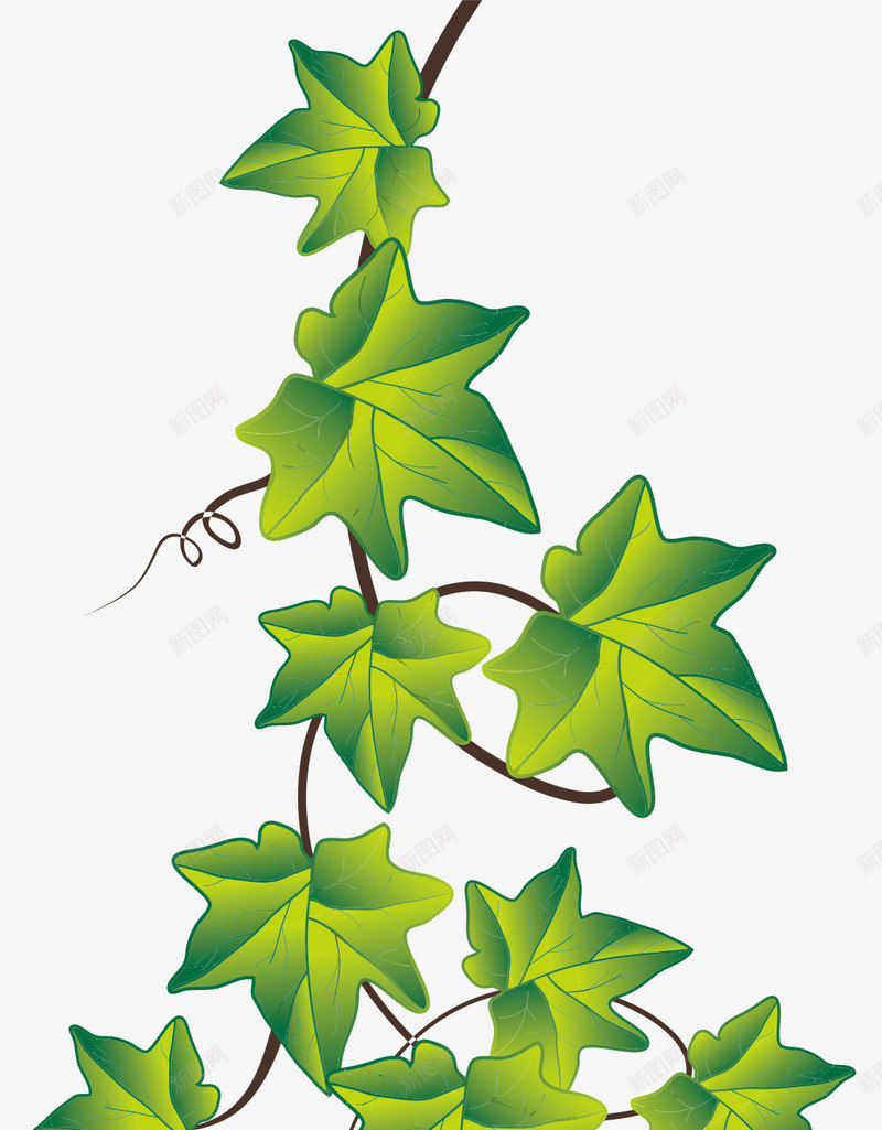 栀子花树藤png免抠素材_88icon https://88icon.com 栀子花 树藤 植物 绿叶